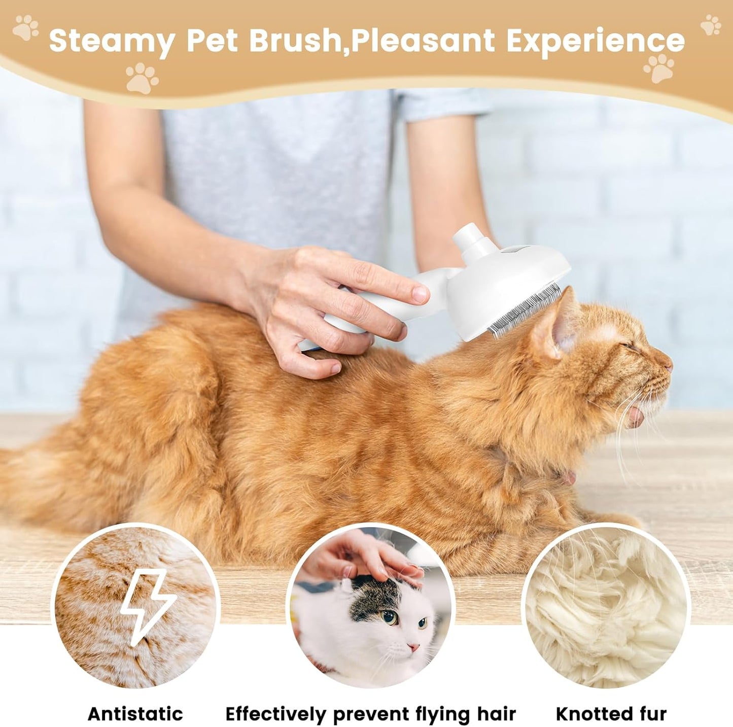 3 In 1 Steam Groomer